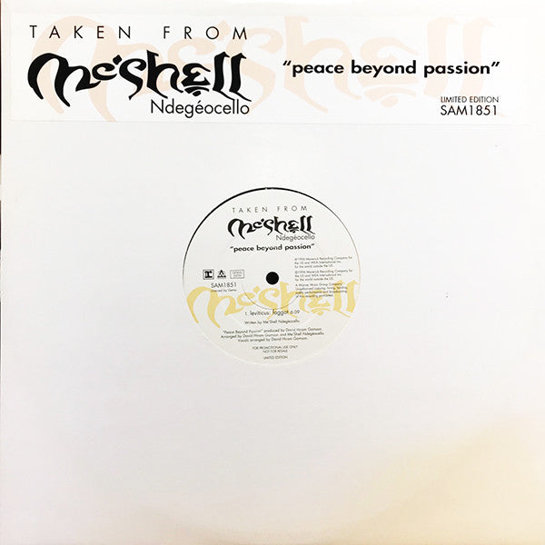 Me'Shell NdegeOcello - Leviticus: Faggot - Used Vinyl Record 12"