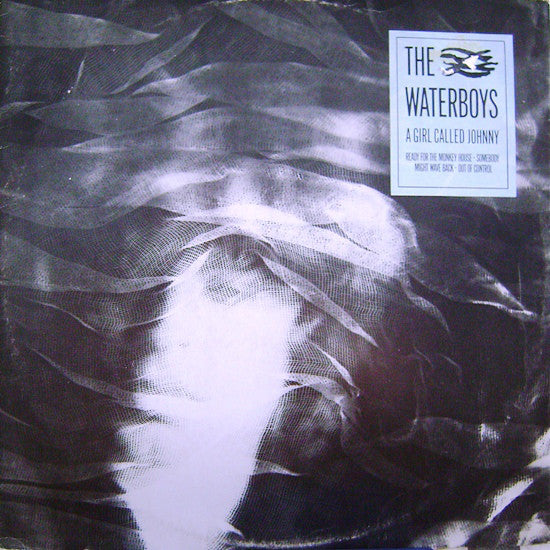 Waterboys - A Girl Called Johnny - Used Vinyl Record 12"