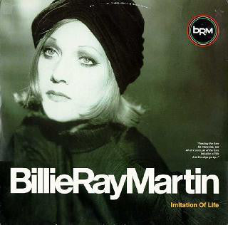Billie Ray Martin - Imitation Of Life - Used Vinyl 12"