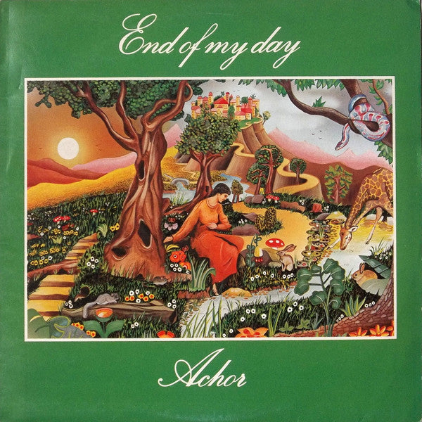 Achor - End Of My Day - Used Vinyl Record