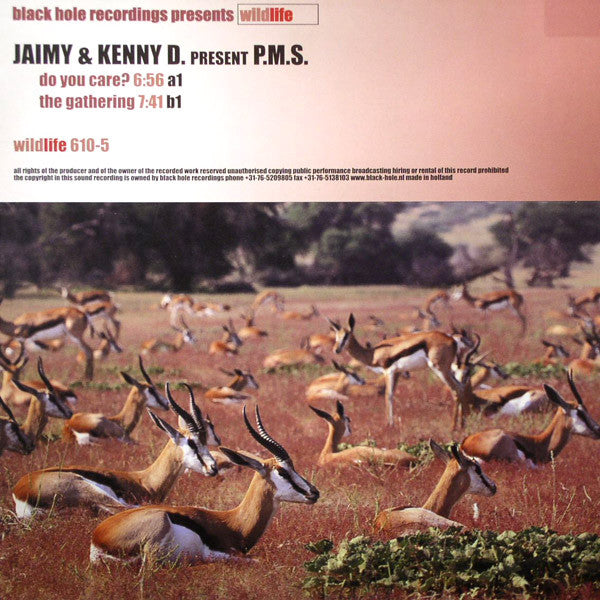 Jaimy & Kenny D. - Do You Care? / The Gathering - Used Vinyl Record 12"