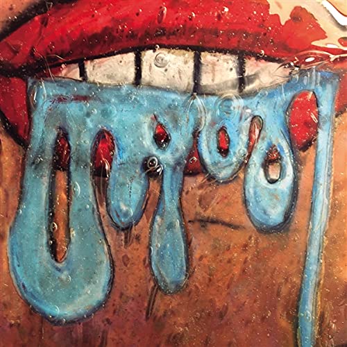 PART CHIMP - DROOL - Vinyl Record
