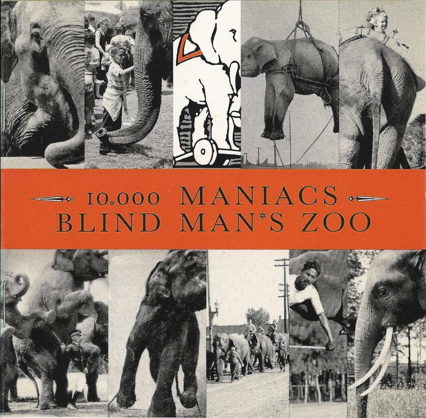 10 - Blind Man's Zoo - Used Cassette
