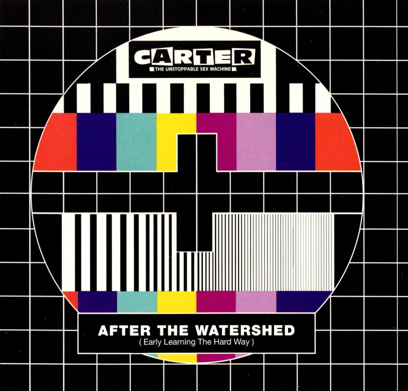 Carter U.S.M. - After the Watershed - Used Vinyl Record 12"