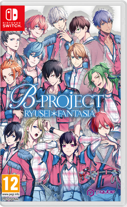 Generic Brand - B Project - New Nintendo Switch