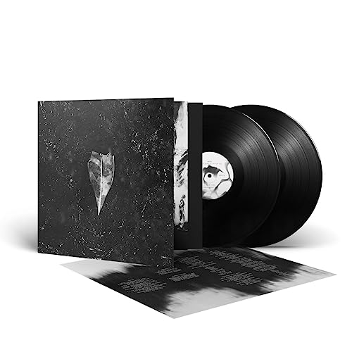BEES MADE HONEY IN T - AION (2LP) - Vinyl Record DLP