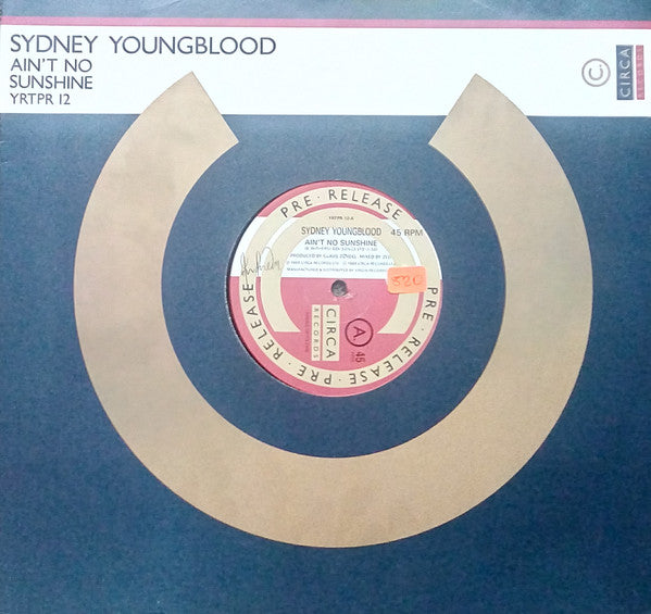 Sydney Youngblood - Ain't No Sunshine - Used Vinyl Record 12"