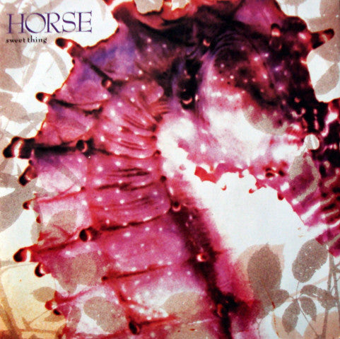 Horse - Sweet Thing - Used Vinyl Record 7"