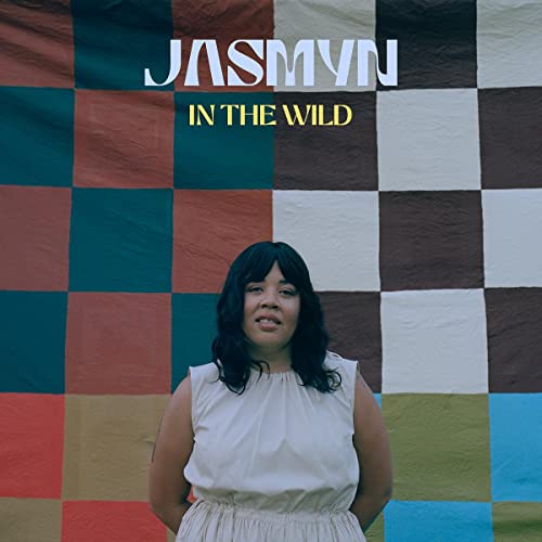 In The Wild - Vinyl Record