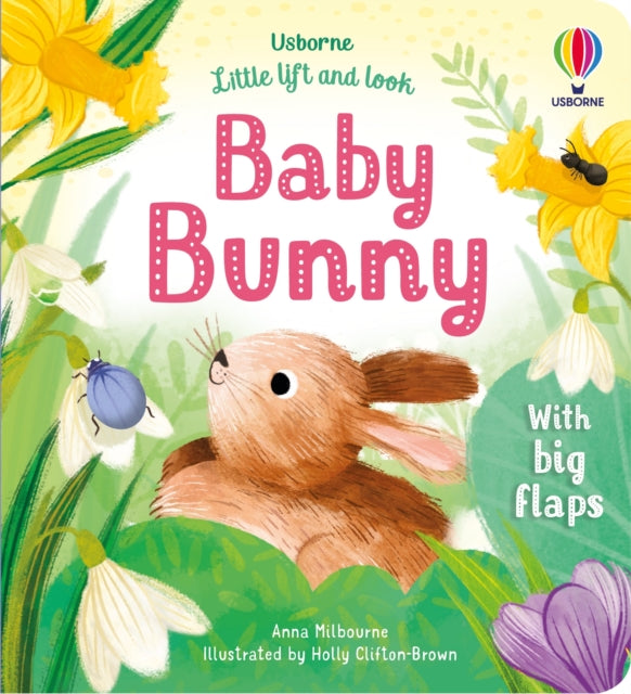 Anna Milbourne - Little Lift and Look Baby Bunny - Board book