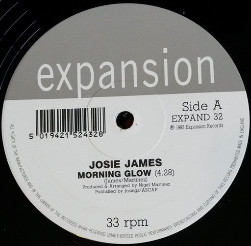 Josie James - Morning Glow - Used Vinyl Record 12"
