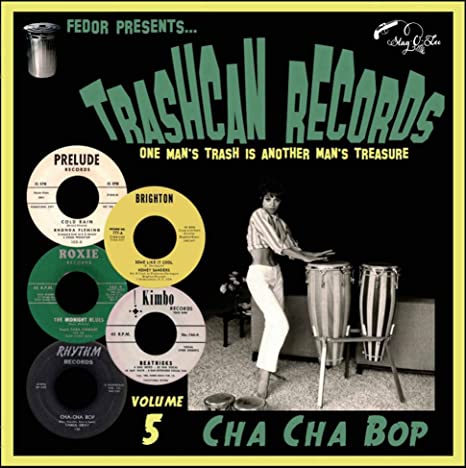 VARIOUS ARTISTS - TRASHCAN RECORDS VOL 5 CHA CH - Vinyl Record 10