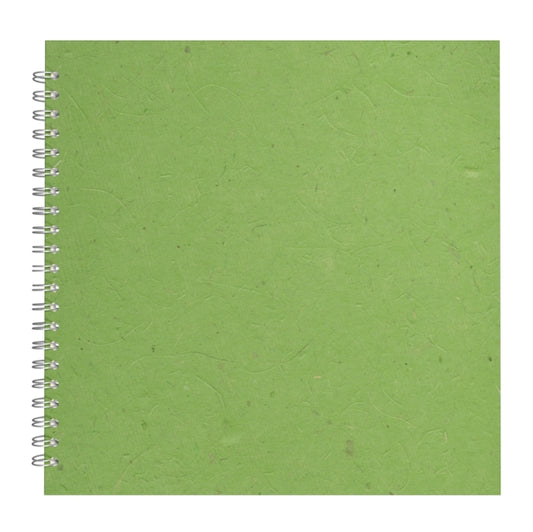 11x11 Posh Black Display 25lvs Emerald Banana - Non-book item