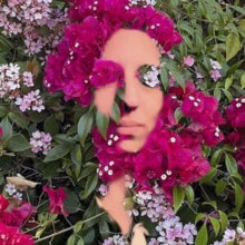 DAISY PRESS - YOU ARE THE FLOWER - CD