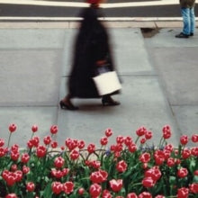 AIR WAVES - DANCE - New CD