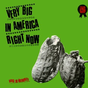 Voice Of Authority - Very Big In America Right Now - Used Vinyl Recor