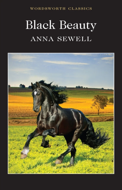 Anna Sewell - Black Beauty - Paperback
