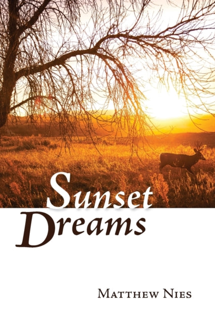 Nies - Sunset Dreams - New paperback or softback
