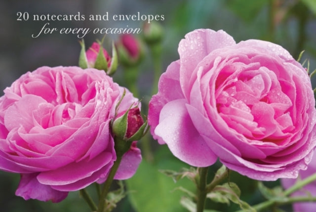 Peony Press - Card Box of 20 Notecards and Envelopes: Pink Rose - New