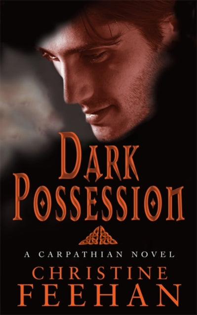 Christine Feehan - Dark Possession : Number 18 in series - Paperback