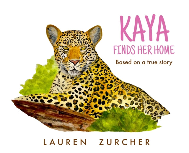 Zurcher - Kaya Finds Her Home - New hardback or cased book