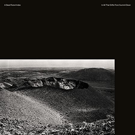 A DEAD FOREST INDEX - IN ALL THAT DRIFTS FROM SUMMIT DOWN - Vinyl Rec