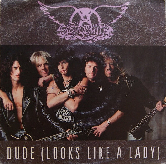 Aerosmith - Dude (Looks Like A Lady) - Used Vinyl Record 7"