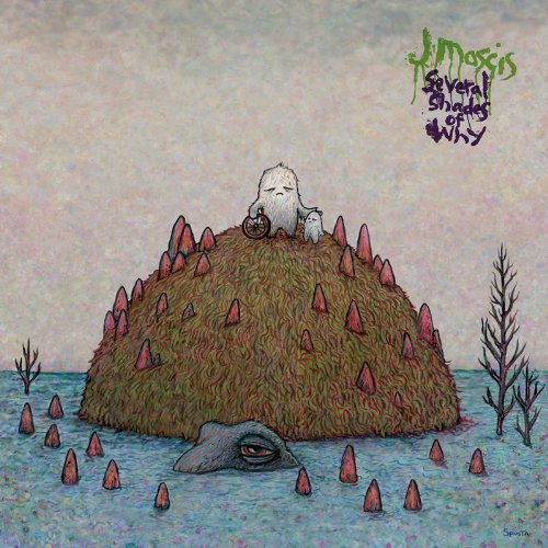 J Mascis - Several Shades Of Why - CD