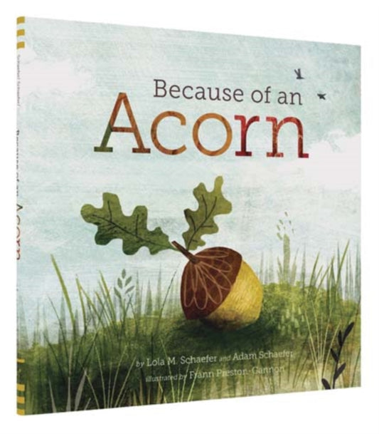 Adam Schaefer - Because of an Acorn - New Hardback