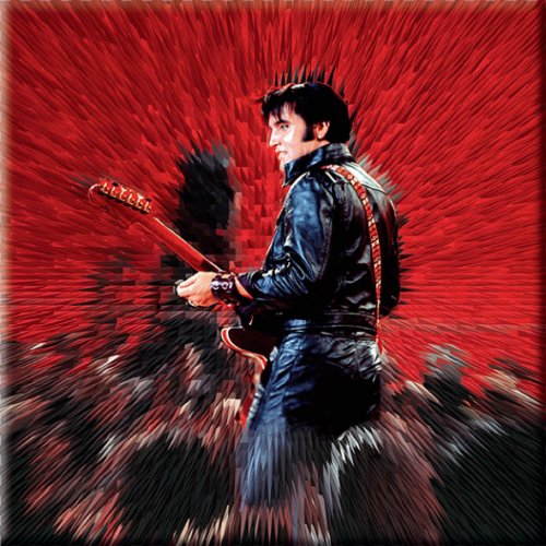 Elvis Presley - Fridge Magnet: Shine - TV Memorabilia Fridge Magnets
