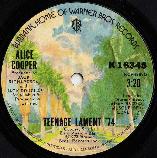 Alice Cooper - Teenage Lament '74 - Used Vinyl Record 7"
