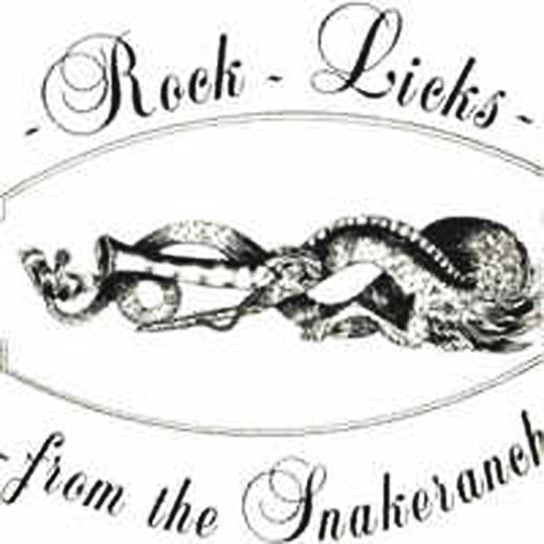 Nick Glennie-Smith - Rock Licks From The Snake Ranch - Used Vinyl Recor