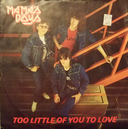Mama's Boys - Too Little Of You To Love - Used Vinyl Record 12"