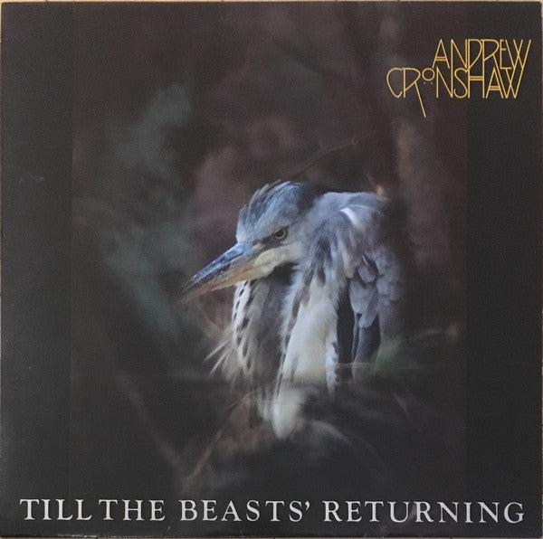 Andrew Cronshaw - Till The Beasts' Returning - Used Vinyl Record