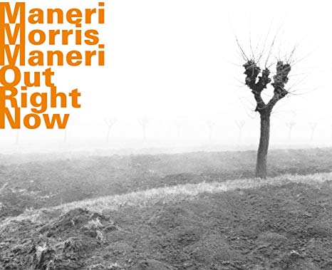 Joe Maneri - Out Right Now - CD