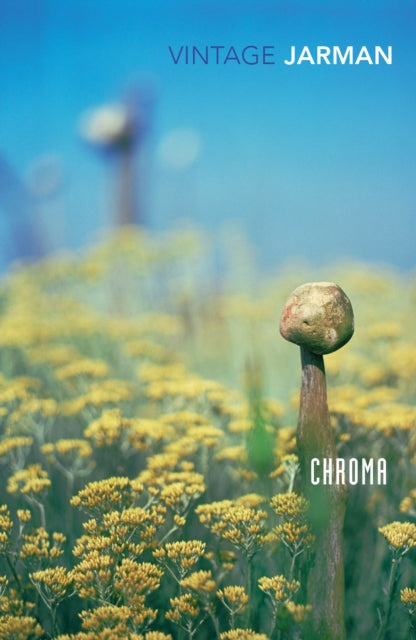 Derek Jarman - Chroma : A Book of Colour - June '93 - Paperback