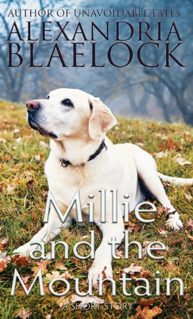 Blaelock - Millie and the Mountain - paperback or softback