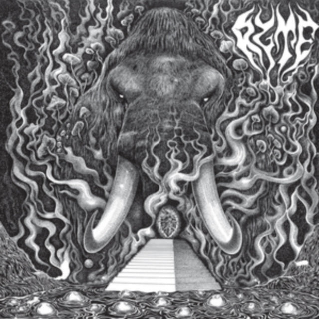 Ryte - Vinyl Record 12 Album"
