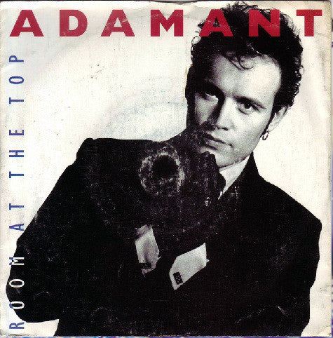 Adam Ant - Room At The Top - Used Vinyl Record 12"