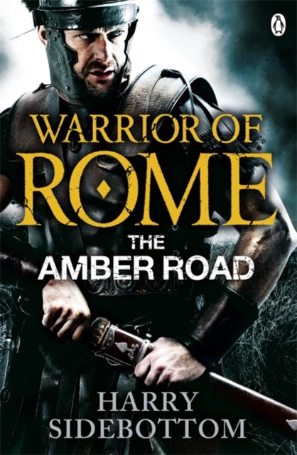 Harry Sidebottom - Warrior of Rome VI: The Amber Road - Paperback