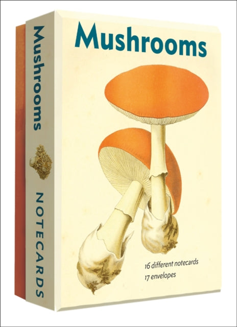 Mushrooms Detailed Notecard Set - New Cards