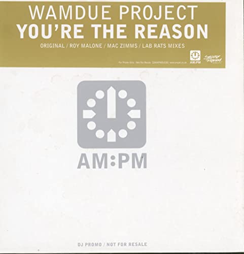 Wamdue Project - You're The Reason - Used Vinyl Record 12"