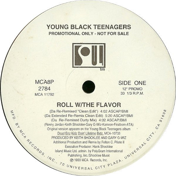 Young Black Teenager - Roll W/The Flavor - Used Vinyl Record