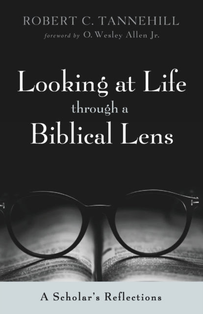annehill - Looking at Life through a Biblical Lens - New paperback or