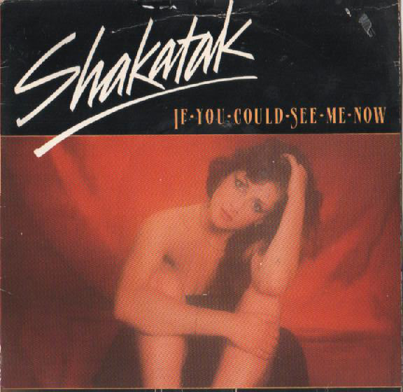 Shakatak - If You Could See Me Now - Used Vinyl Record 7"