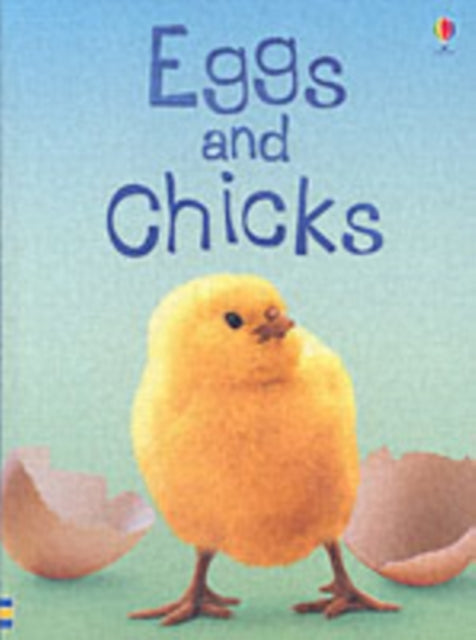 Fiona Patchett - Eggs and Chicks - Hardback