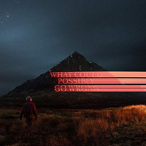Dominic Fike - What Could Possibly Go Wrong - Vinyl Record Vinyl Longp