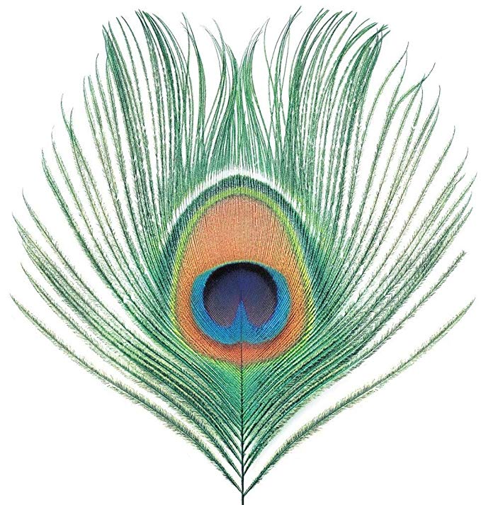 XTC - Apple Venus Volume One - Vinyl Record