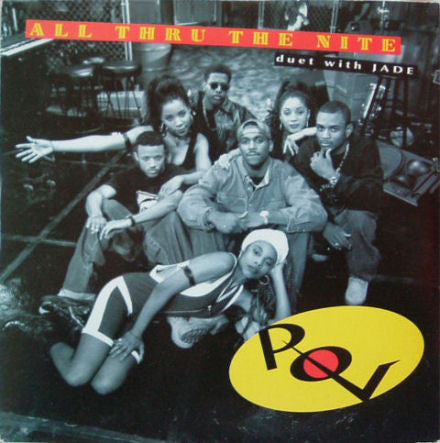 P.O.V. - All Thru The Nite (Original Album Flava) - Used Vinyl Record