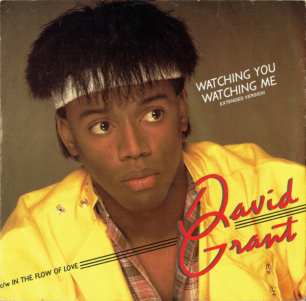 David Grant - Watching You Watching Me - Used Vinyl Record 12"